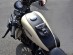 P) LEATHER TANK Panel Pad Chap Bib for HARLEY DAVIDSON SPORTSTER LX 883 & 1200 IRON 